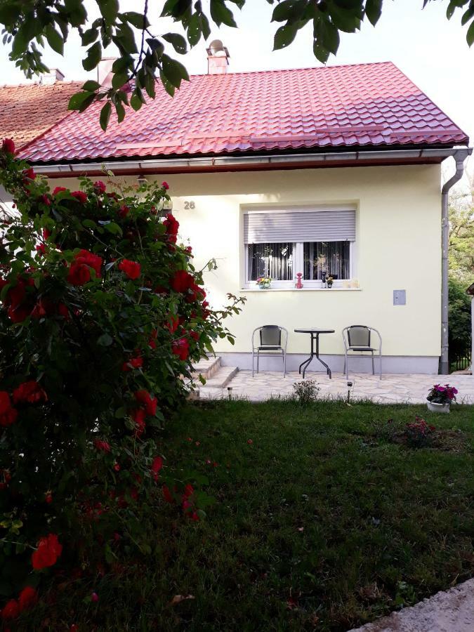 Gospic Riverside Apartment Extérieur photo